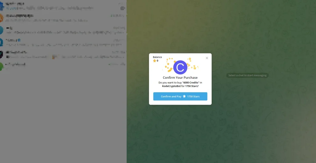 Preview the payment details